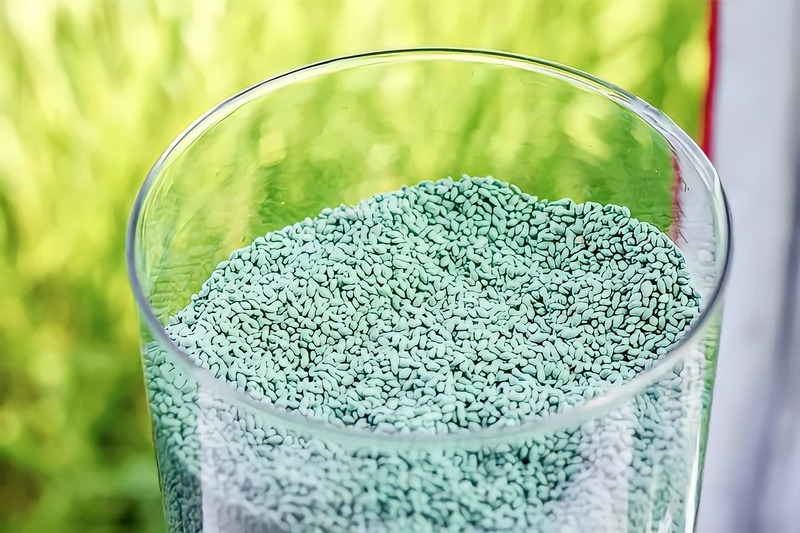 Foto das sementes sustentáveis