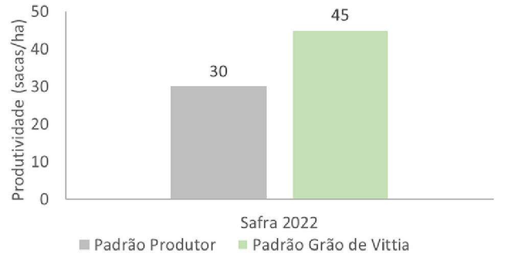 gráfico comparativo grão de vittia safra 2022