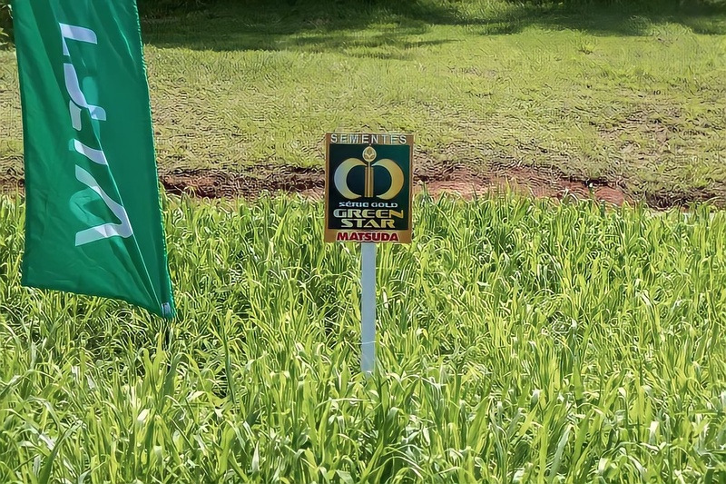 Foto de um campo com a placa da Matsuda.